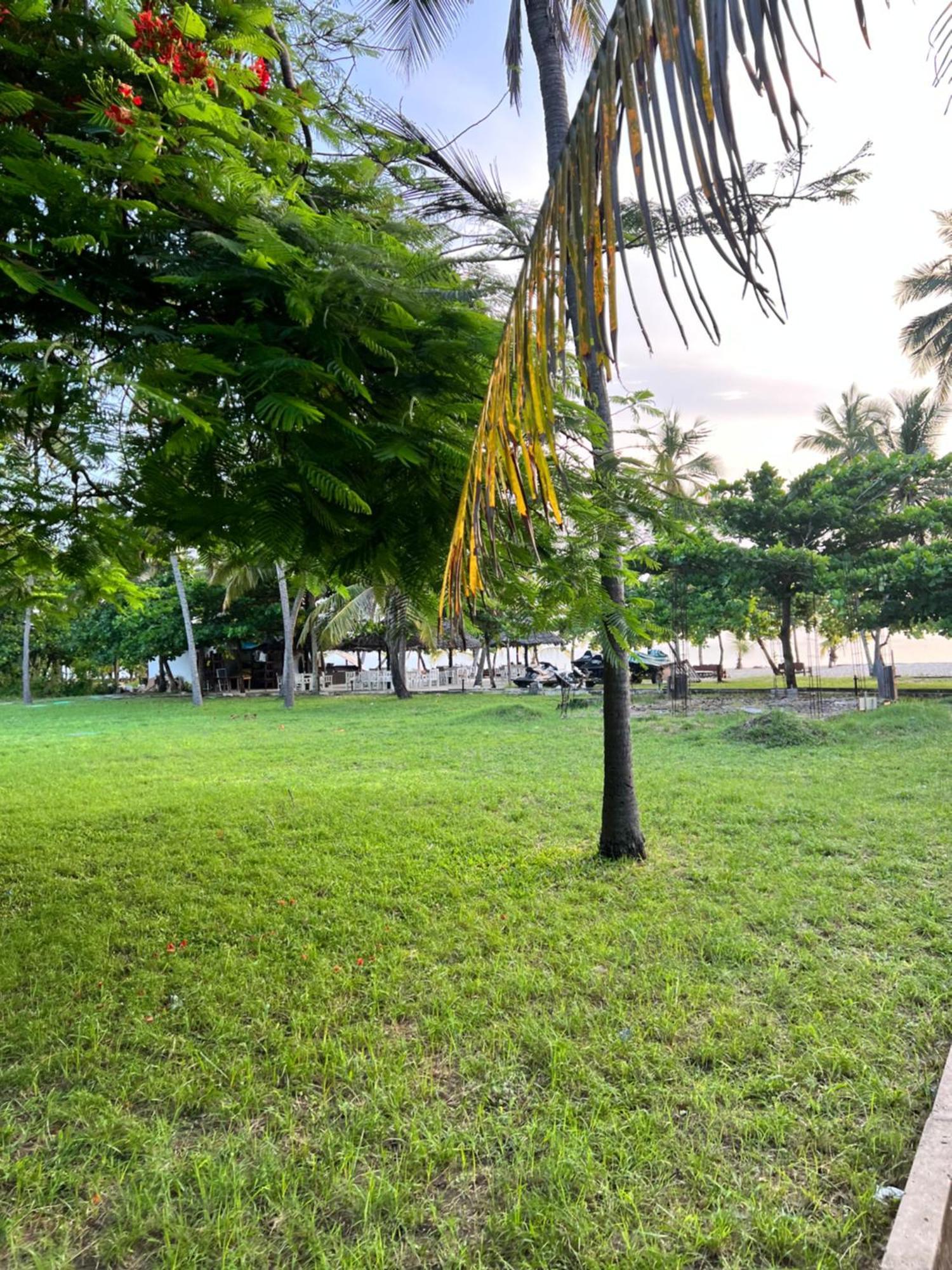 Waves And Wanderlust-Diani Beach Bagian luar foto