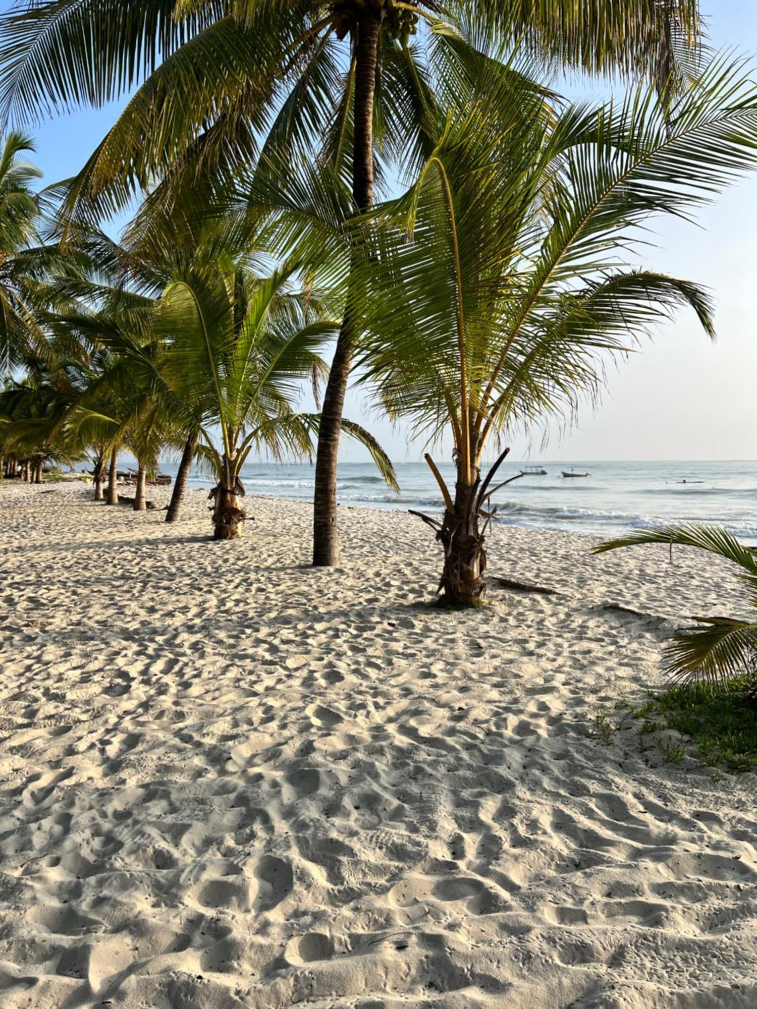 Waves And Wanderlust-Diani Beach Bagian luar foto