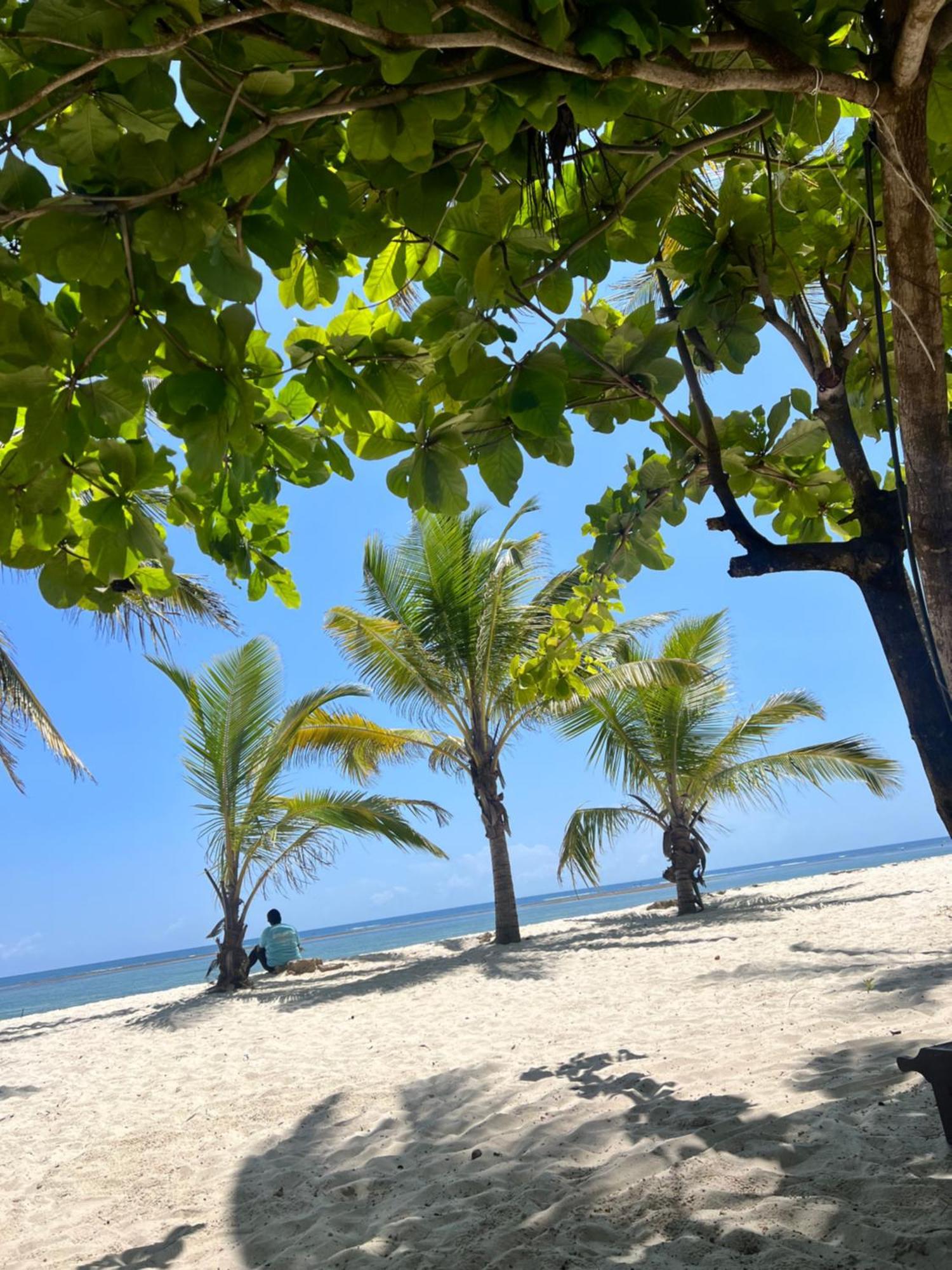 Waves And Wanderlust-Diani Beach Bagian luar foto
