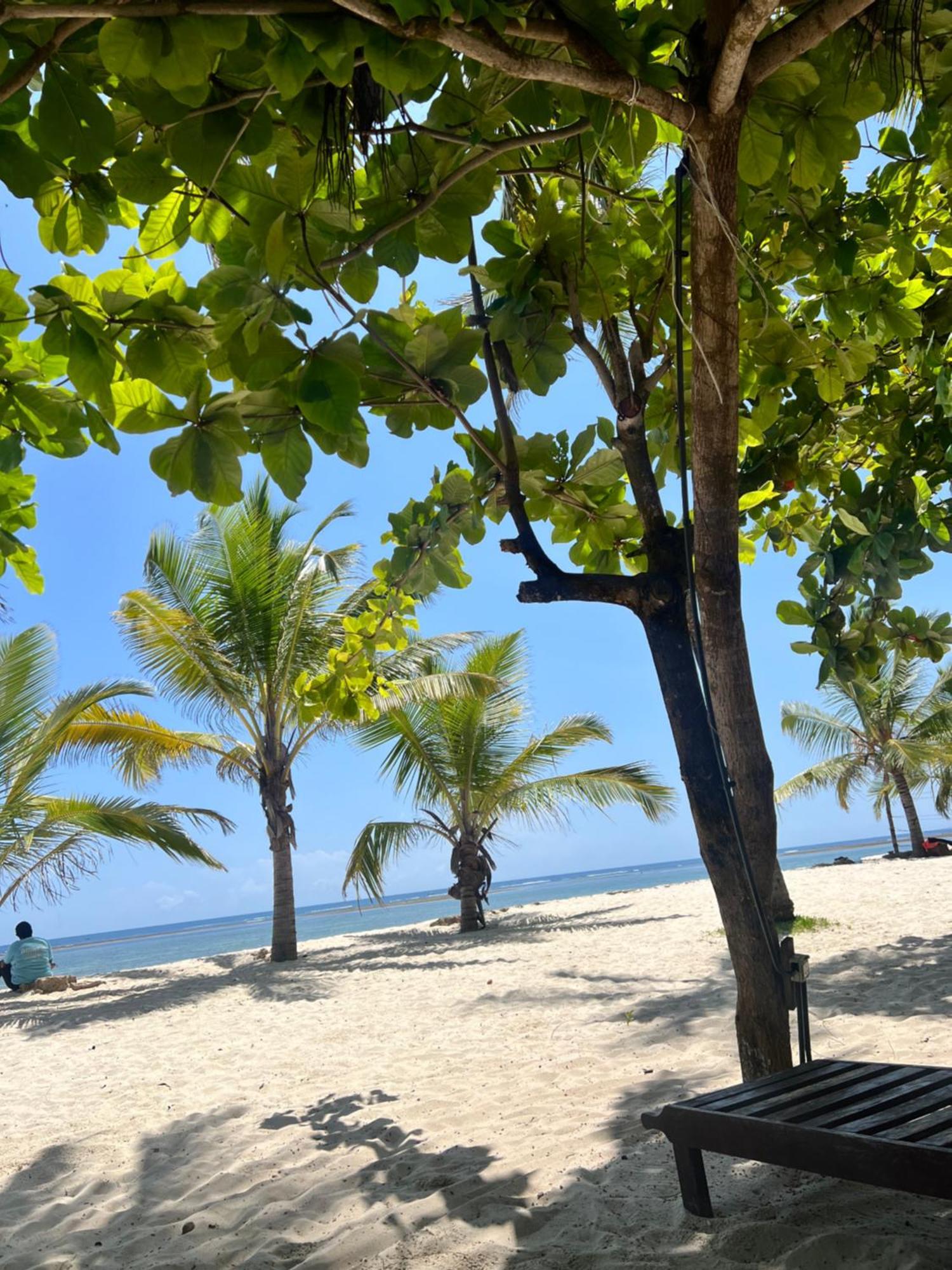 Waves And Wanderlust-Diani Beach Bagian luar foto