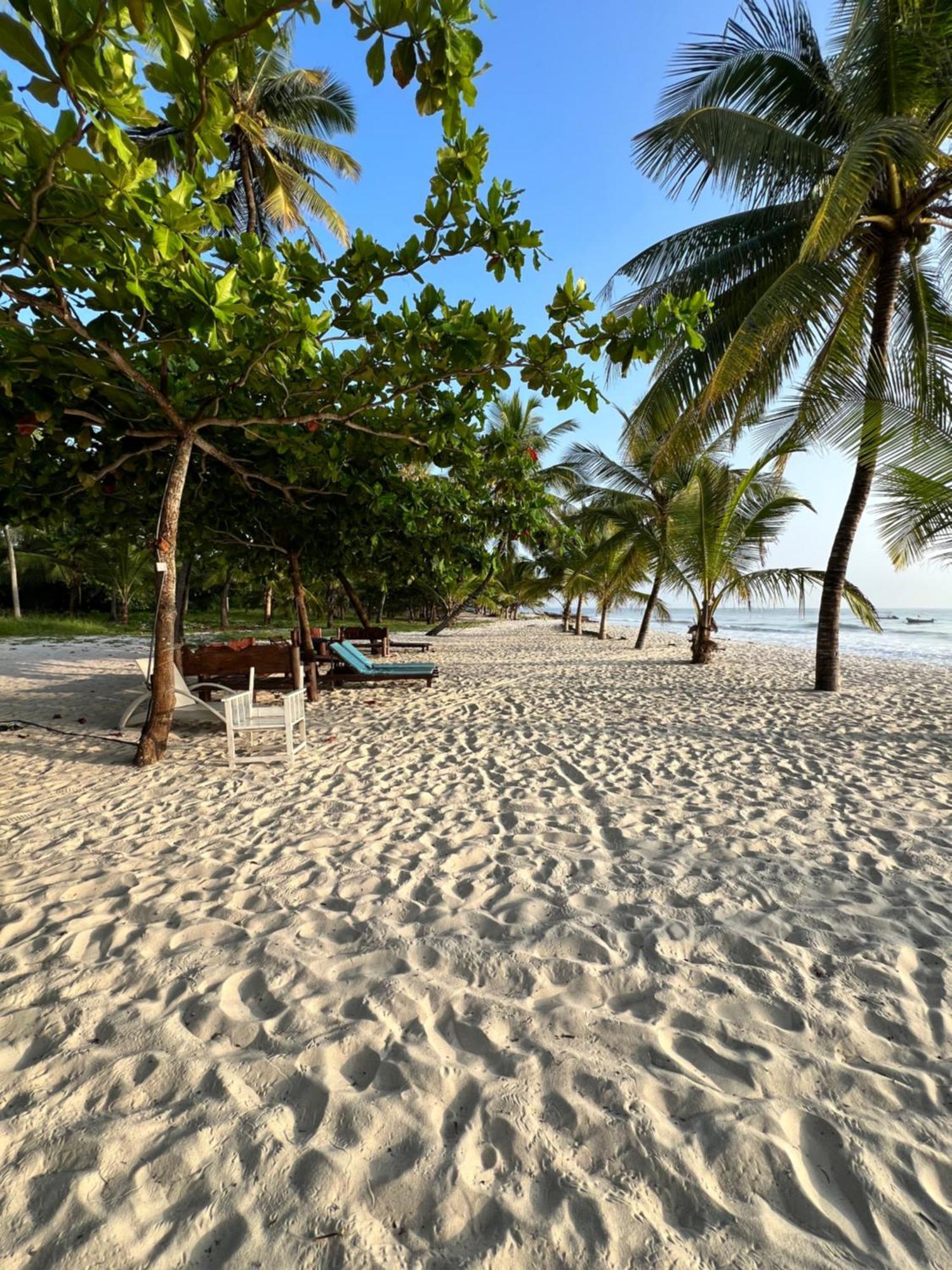 Waves And Wanderlust-Diani Beach Bagian luar foto
