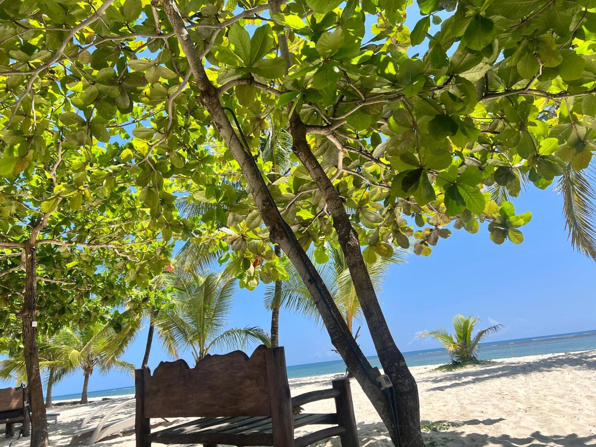 Waves And Wanderlust-Diani Beach Bagian luar foto